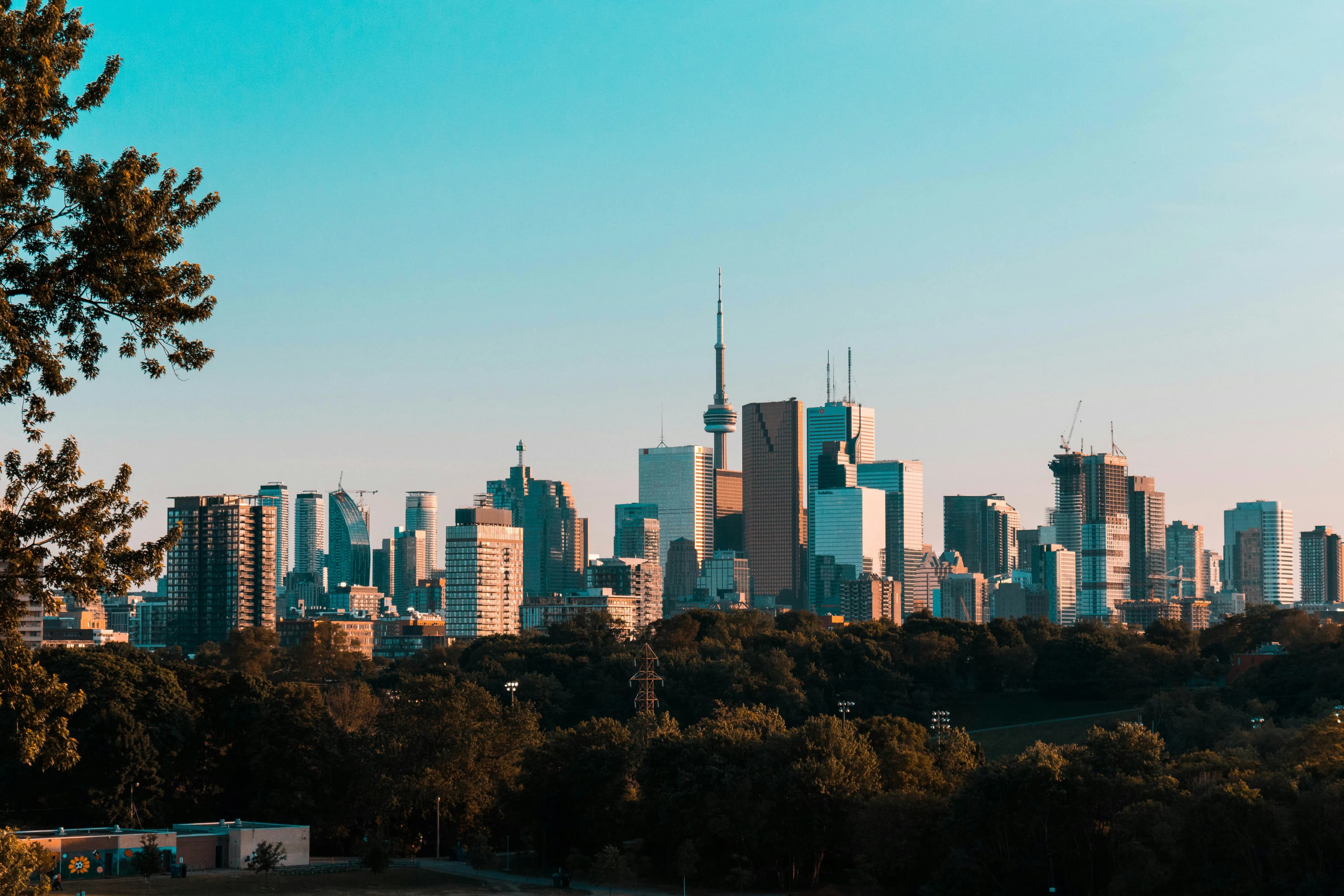 World Cup 2026 Toronto: Things To Do Before and Between Matches